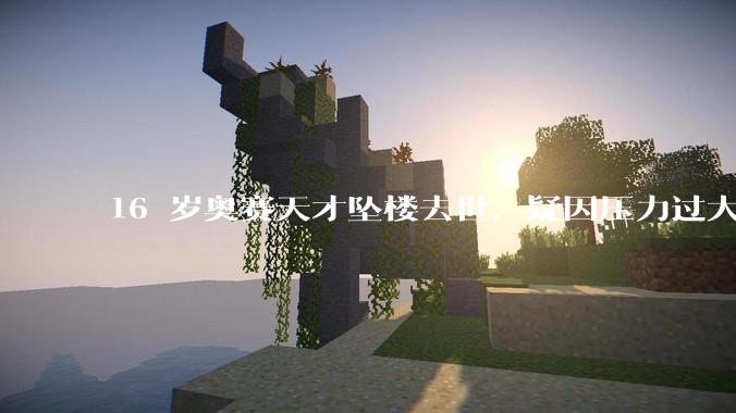16 岁奥赛天才坠楼去世，疑因压力过大，父母该从哪些方面关注孩子心理健康？可以怎样引导孩子释放压力？