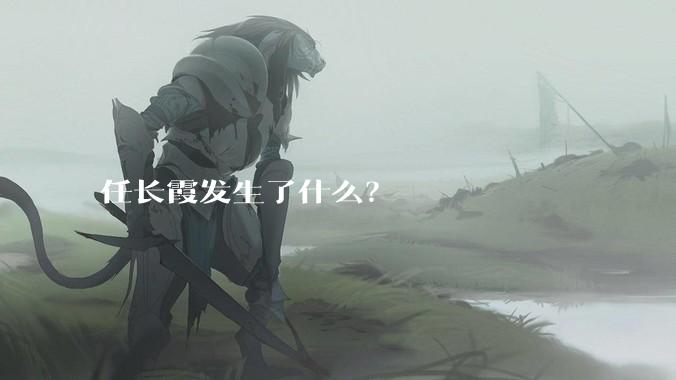 任长霞发生了什么？